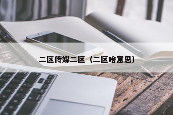 二区传媒二区（二区啥意思）