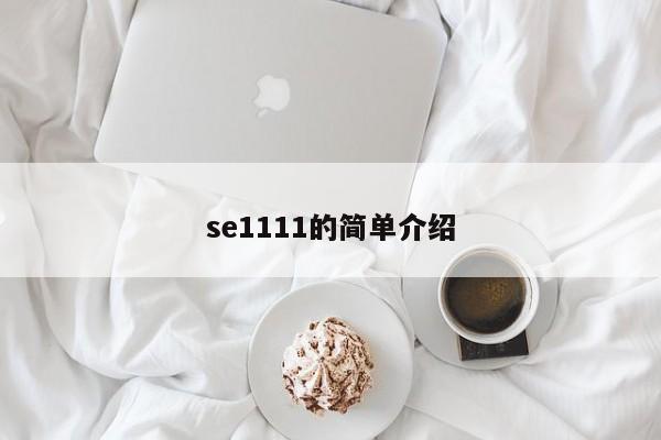 se1111的简单介绍